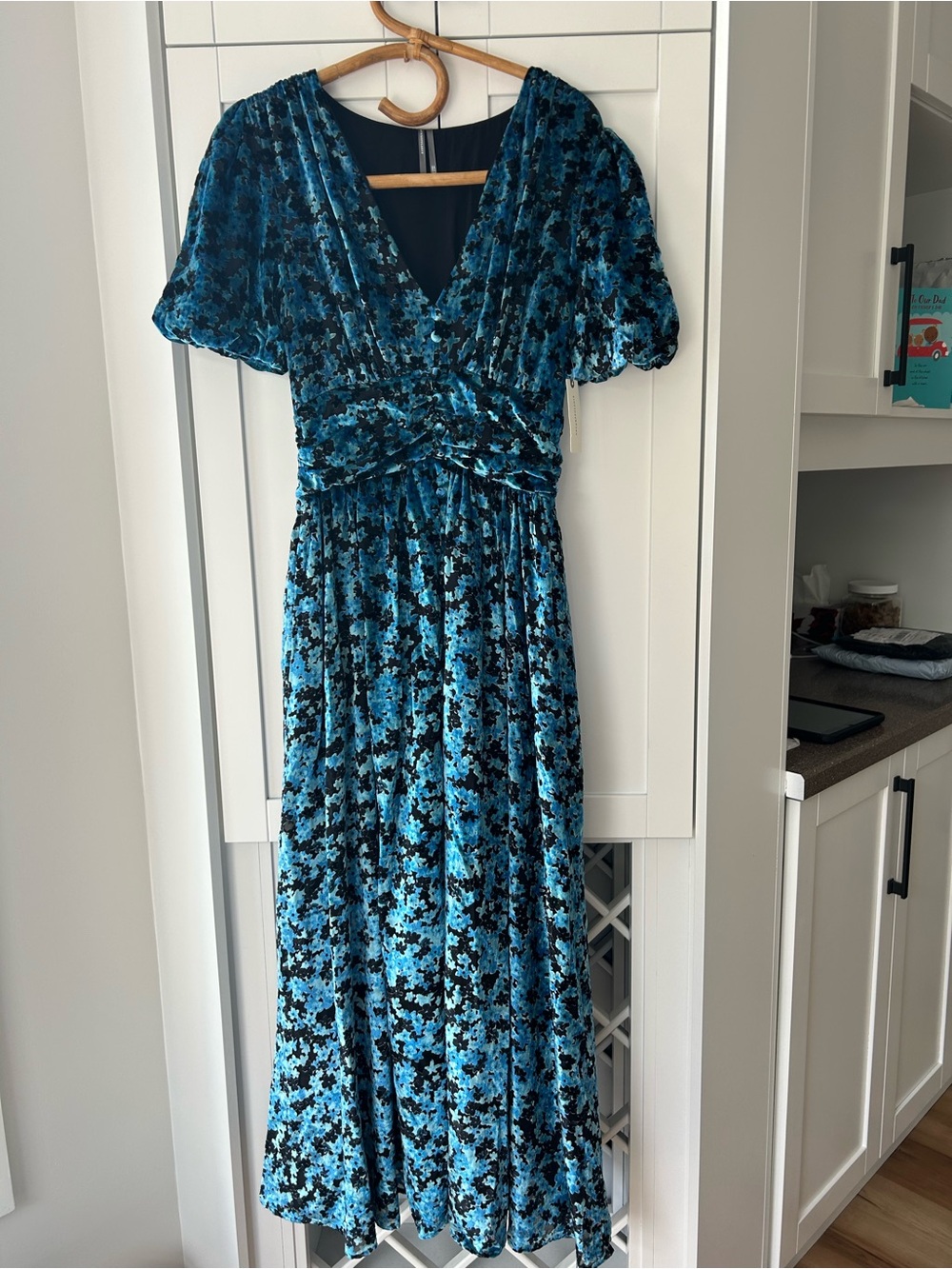 NWT Anthropologie Katerina Blue/Black Floral Velvet V-Neck Maxi Dress Size Small - Picture 4 of 13